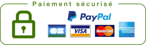 Paiements-Sécurisés-Paypal
