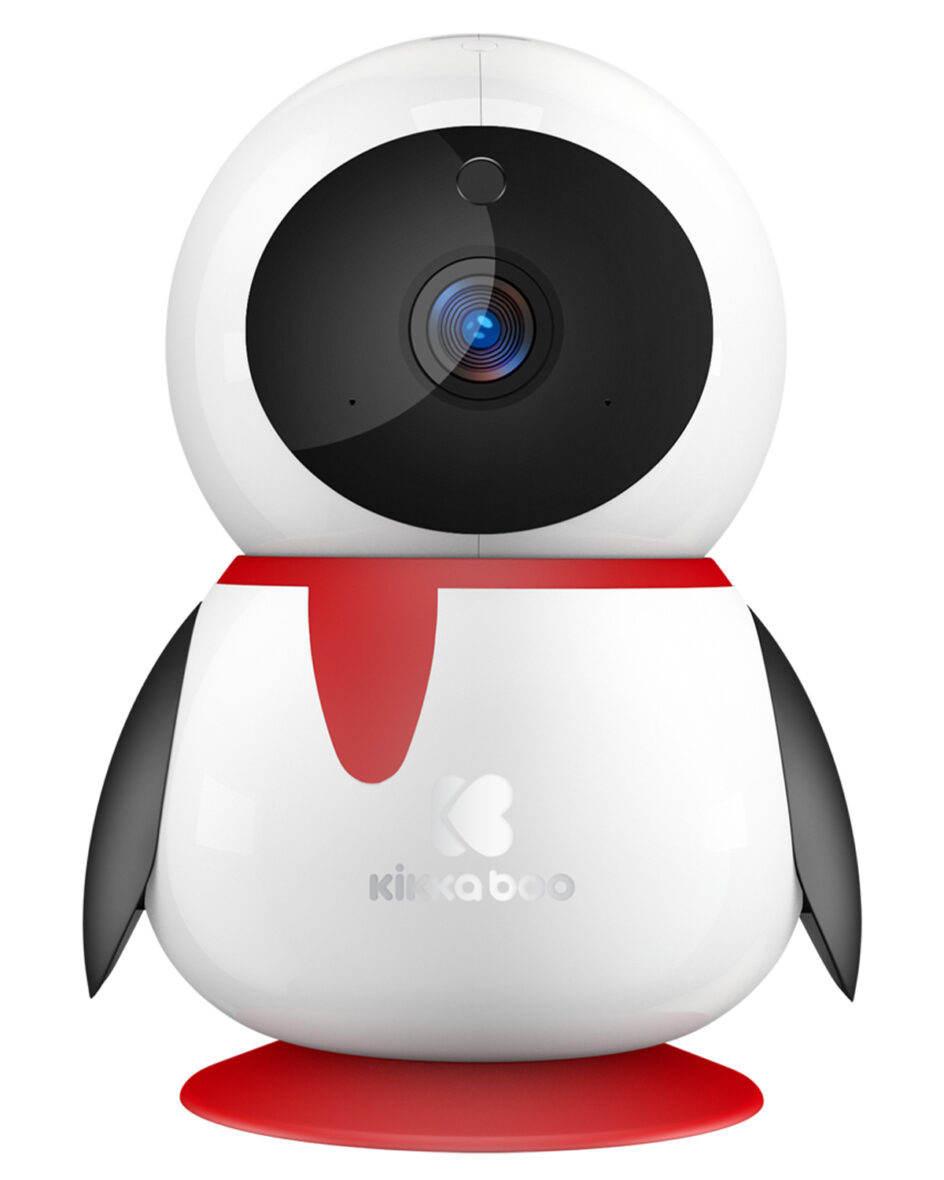Camera vidéo pinguin